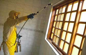 Elite Dedetizadora - Foto 1