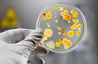 Cinzia Trevisanello - Foto 1