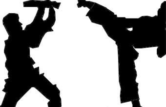 Karatê Shindokan - Foto 1