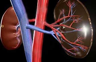 Cene Abc Centro Nefrológico do Abc - Foto 1