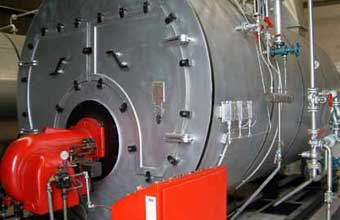 Lavanderia e Tinturaria Nova Paraíso - Foto 1