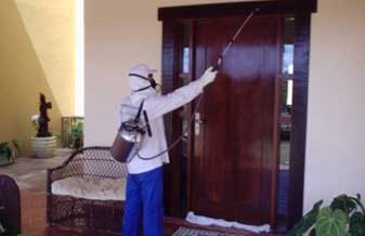 Alfa Dedetização, Desratização e Descupinização - Foto 1