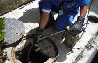 Desentupidora e Dedetizadora Formiguinha - Foto 1