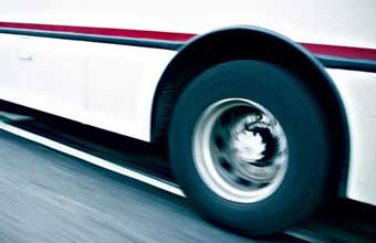 Solitrans Transportes e Serviços - Foto 1