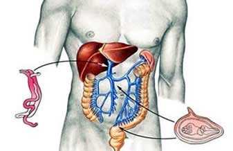 Imad – Instituto de Molestia do Aparelho Digestivo do Abc - Foto 1