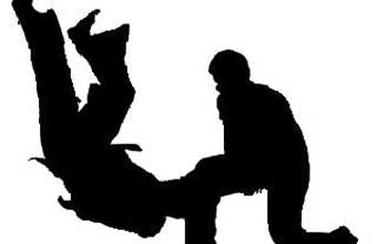 Shinkai Dojo - Foto 1