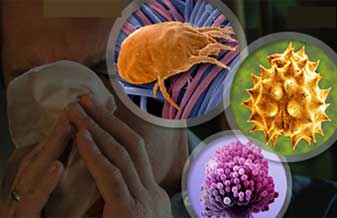 Alergoclinica - Foto 1