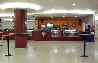 O Rei do Dog - Foto 1