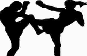 Academia Iron Xtreme - Foto 1