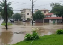 chuvas causam alagamentos