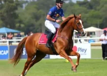 Victor Ortega conquista top 10 na Copa SP Light