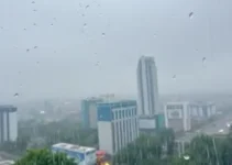 chuva em São Paulo