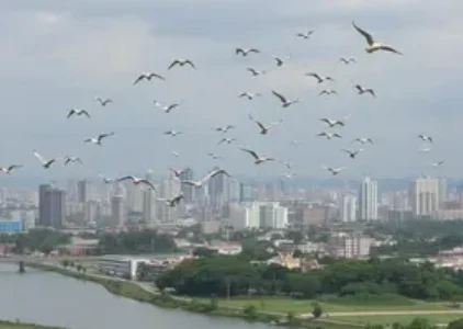 Últimas noticias de ABC Paulista