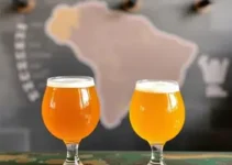Rotas da Cerveja SP