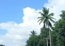 clima em Santo André (SP)