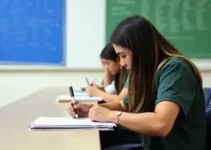 simulado Provão Paulista e Enem