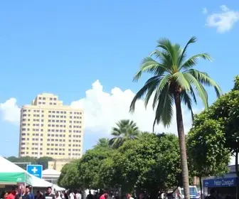 Feira do Empreendedor do Sebrae